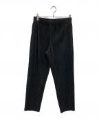 HOMME PLISSE ISSEY MIYAKEオム プリッセ イッセイ ミヤケ）の古着「center pleat slacks」｜ブラック