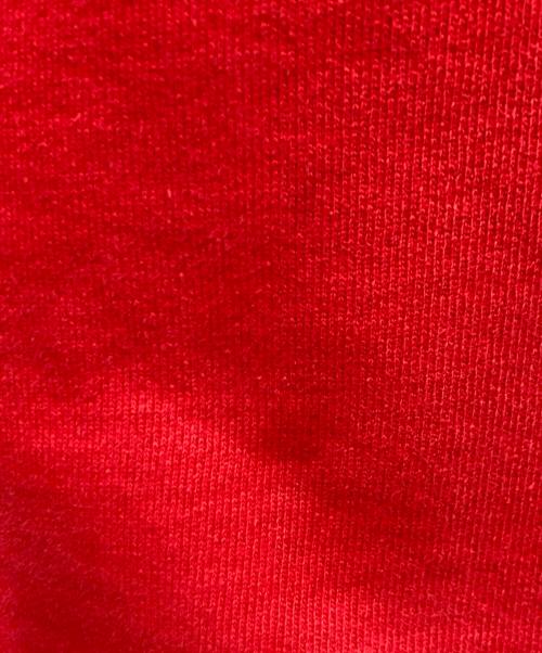 Champion REVERSE WEAVE（チャンピオン リバース ウィーブ）Champion REVERSE WEAVE (チャンピオン リバース ウィーブ) 【古着】目ありプルオーバーパーカー レッド サイズ:Lの古着・服飾アイテム