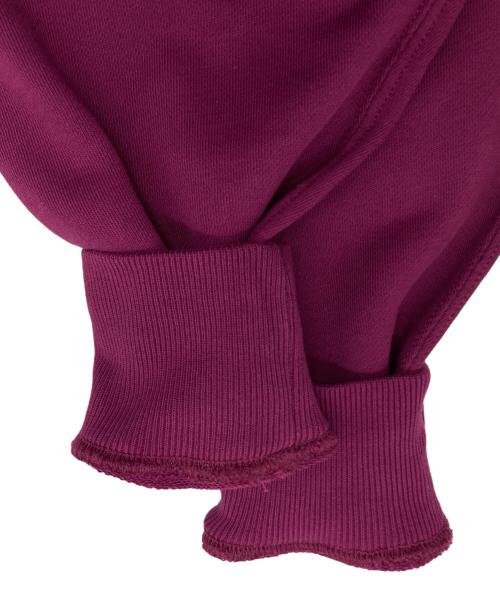 POLO RALPH LAUREN（ポロ・ラルフローレン）POLO RALPH LAUREN (ポロ・ラルフローレン) ポニー アップリケ フーディ パープル サイズ:Sの古着・服飾アイテム