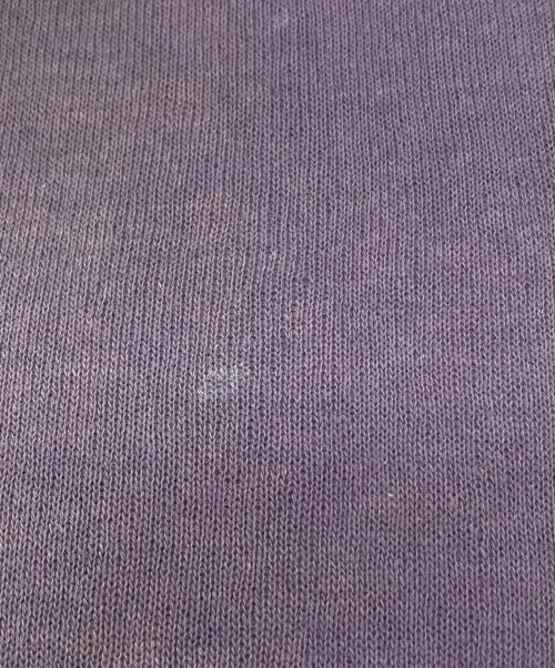 Champion（チャンピオン）Champion (チャンピオン) ヴィンテージプルオーバーパーカー パープル サイズ:XLの古着・服飾アイテム