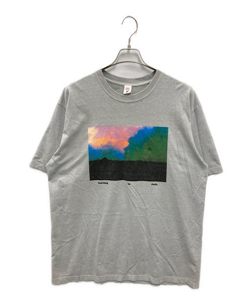 HOPE SPRINGS（ホープ スプリングス）HOPE SPRINGS (ホープ スプリングス) RHC Ron Herman (アールエイチシー ロンハーマン) Julian Klincewicz Print Tee グレー サイズ:Lの古着・服飾アイテム