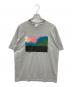 HOPE SPRINGS（ホープ スプリングス）の古着「Julian Klincewicz Print Tee」｜グレー