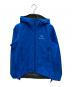 ARC'TERYX（アークテリクス）の古着「BETA SL JACKET GORE-TEX」｜ブルー