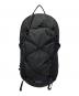Patagonia（パタゴニア）の古着「テラヴィア・パック 14L」｜ブラック
