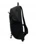 Patagonia (パタゴニア) テラヴィア・パック 14L ブラック：12000円