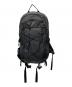 Patagonia（パタゴニア）の古着「Terravia Pack 22L」｜ブラック