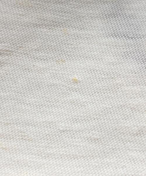 Acne studios（アクネ ストゥディオズ）ACNE STUDIOS (アクネ ストゥディオズ) スプレーロゴ ショート ロゴTシャツ ホワイト サイズ:XS 未使用品の古着・服飾アイテム