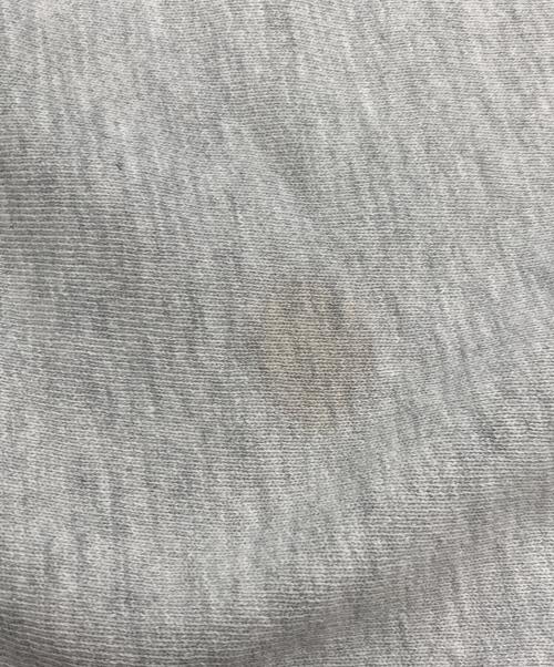 Champion（チャンピオン）Champion (チャンピオン) VINEYARD スウェット グレー サイズ:XLの古着・服飾アイテム