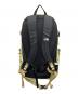 THE NORTH FACE (ザ ノース フェイス) Tellus 25 イエロー：10000円