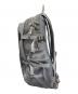 THE NORTH FACE (ザ ノース フェイス) Hot Shot CL グレー：9000円