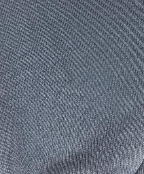 stussy（ステューシー）stussy (ステューシー) Felt Applique Hoodie（ ネイビー サイズ:Mの古着・服飾アイテム