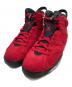 NIKE（ナイキ）の古着「AIR JORDAN 6 RETRO 