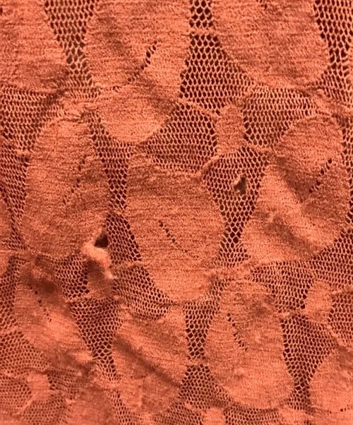 Jean Paul Gaultier FEMME（ジャンポールゴルチエ フェム）Jean Paul Gaultier FEMME (ジャンポールゴルチェフェム) レースケープ ブラウン サイズ:40の古着・服飾アイテム