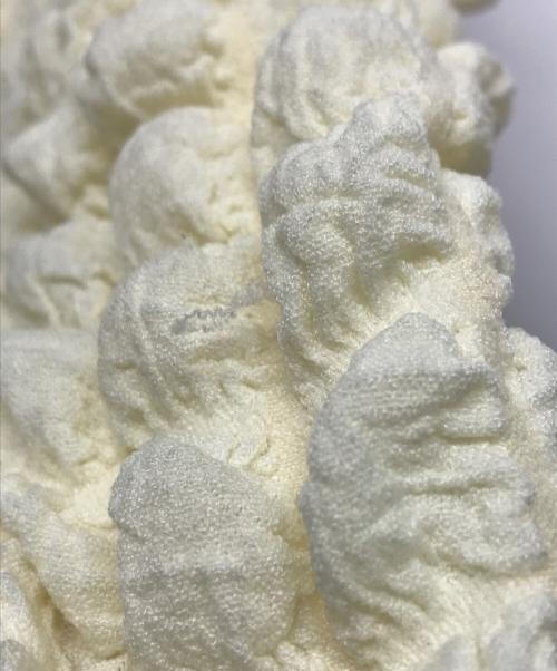 CADUNE（カデュネ）CADUNE (カデュネ) ニット ホワイト サイズ:38の古着・服飾アイテム