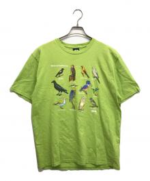 stussy（ステューシー）の古着「California birds tee」｜グリーン