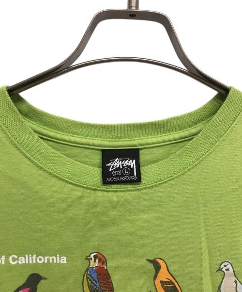 stussy（ステューシー）stussy (ステューシー) California birds tee グリーン サイズ:Lの古着・服飾アイテム