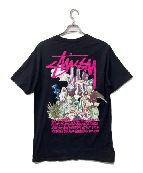 stussy（ステューシー）stussy (ステューシー) Tシャツ ブラック サイズ:Mの古着・服飾アイテム