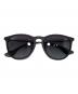 RAY-BAN（レイバン）の古着「サングラス」｜ブラック