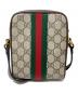 GUCCI (グッチ) GGスプリーム オフィディア：80000円