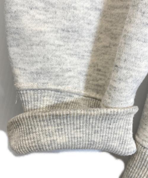 THE NORTH FACE（ザ ノース フェイス）THE NORTH FACE (ザ ノース フェイス) ジップパーカー グレー サイズ:Lの古着・服飾アイテム