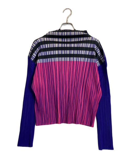 PLEATS PLEASE（プリーツプリーズ）PLEATS PLEASE (プリーツプリーズ) プリーツ総柄カットソー ネイビー サイズ:3の古着・服飾アイテム