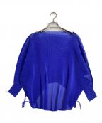 PLEATS PLEASEプリーツプリーズ）の古着「メッシュプリーツカットソー」｜ブルー