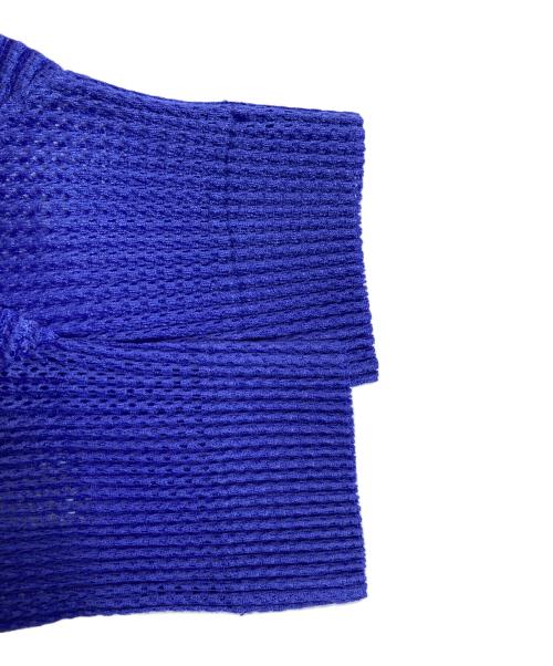 PLEATS PLEASE（プリーツプリーズ）PLEATS PLEASE (プリーツプリーズ) メッシュプリーツカットソー ブルー サイズ:記載なしの古着・服飾アイテム