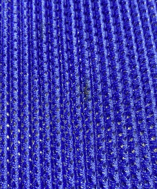 PLEATS PLEASE（プリーツプリーズ）PLEATS PLEASE (プリーツプリーズ) メッシュプリーツカットソー ブルー サイズ:記載なしの古着・服飾アイテム