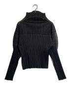 PLEATS PLEASEプリーツプリーズ）の古着「メッシュ切替プリーツカットソー」｜ブラック