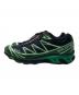SALOMON (サロモン) XT-6 GTX ブラック×グリーン サイズ:29.5：22000円