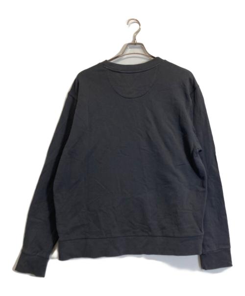 Patagonia（パタゴニア）Patagonia (パタゴニア) デイリー・クルーネック・スウェットシャツ グレー サイズ:Mの古着・服飾アイテム