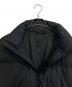 中古・古着 DAIWA (ダイワ) TECK ALPINE DOWN PARKA ブラック サイズ:L：30000円