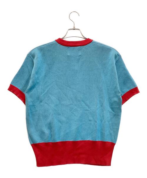 ZARA（ザラ）ZARA (ザラ) Harry Lambert (ハリー・ランバート) ジャガードエレファントニットTシャツ ブルー サイズ:Mの古着・服飾アイテム