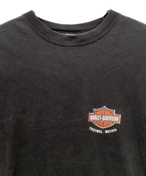 HARLEY-DAVIDSON（ハーレーダビッドソン）HARLEY-DAVIDSON (ハーレーダビッドソン) LOONEY TUNES (ルーニーチューンズ) 00's 両面プリントTシャツ ブラック サイズ:Mの古着・服飾アイテム