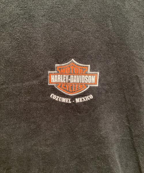 HARLEY-DAVIDSON（ハーレーダビッドソン）HARLEY-DAVIDSON (ハーレーダビッドソン) LOONEY TUNES (ルーニーチューンズ) 00's 両面プリントTシャツ ブラック サイズ:Mの古着・服飾アイテム