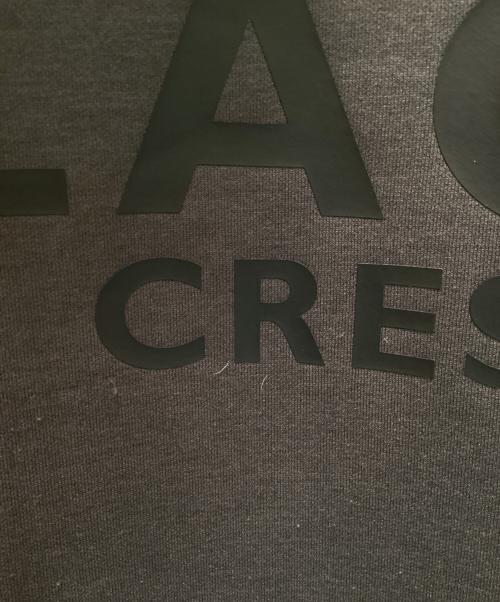 BLACK LABEL CRESTBRIDGE（ブラックレーベル クレストブリッジ）BLACK LABEL CRESTBRIDGE (ブラックレーベル クレストブリッジ) ロゴグラフィックフーディー グレー サイズ:Sの古着・服飾アイテム