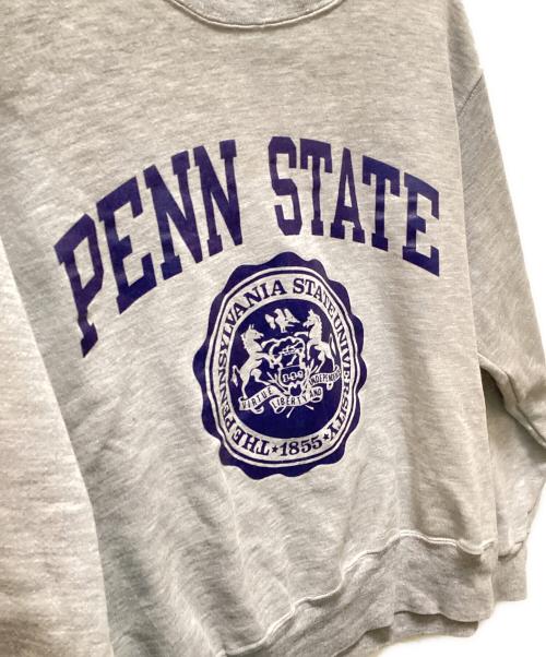 Champion（チャンピオン）Champion (チャンピオン) 2段プリントスウェット グレー サイズ:Lの古着・服飾アイテム