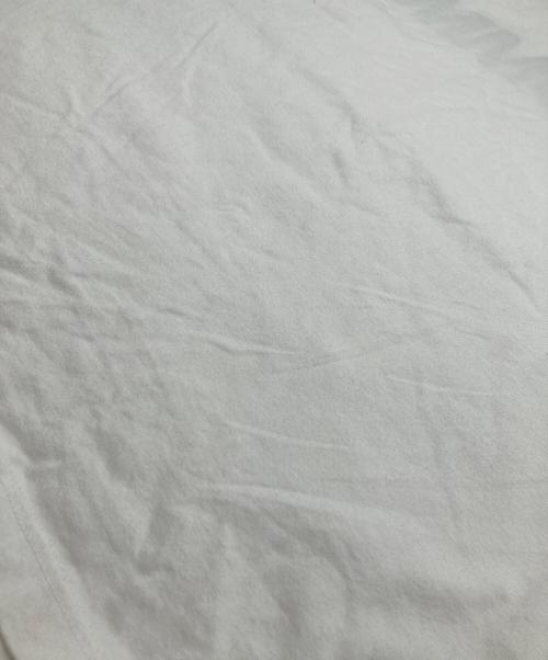 COMME des GARCONS HOMME（コムデギャルソン オム）COMME des GARCONS HOMME (コムデギャルソン オム) HOMME刺繍Tシャツ ホワイト サイズ:Mの古着・服飾アイテム