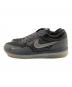 NIKE SB (ナイキエスビー) PS8 