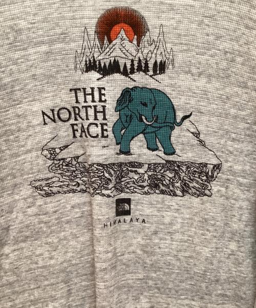 THE NORTH FACE（ザ ノース フェイス）THE NORTH FACE (ザ ノース フェイス) プリントサーマルカットソー グレー サイズ:Lの古着・服飾アイテム