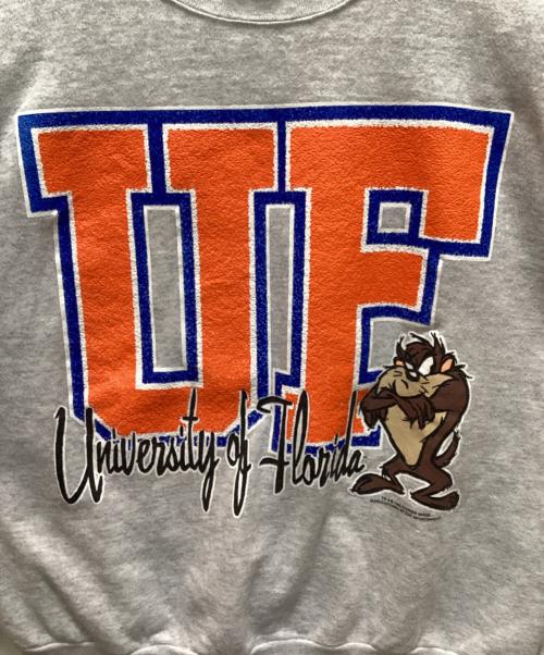 TULTEX（タルテックス）TULTEX (タルテックス) 90s プリントスウェット グレー サイズ:Ⅼの古着・服飾アイテム