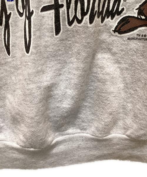 TULTEX（タルテックス）TULTEX (タルテックス) 90s プリントスウェット グレー サイズ:Ⅼの古着・服飾アイテム