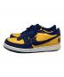 NIKE (ナイキ) ターミネーター ロー 