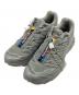 SALOMON（サロモン）の古着「Ｓ-LAB XT-6」｜グレー