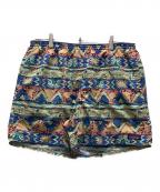 Patagoniaパタゴニア）の古着「バギーズ ショーツ ロング」｜マルチカラー(HGSA)