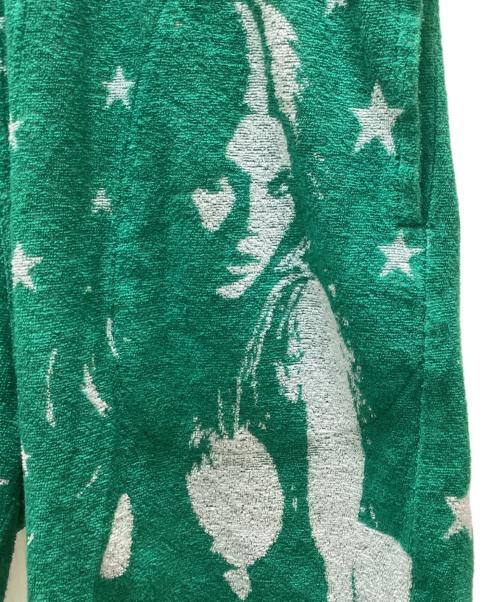 Hysteric Glamour（ヒステリックグラマー）Hysteric Glamour (ヒステリックグラマー) パイル地スター・ヒスガールハーフパンツ グリーン サイズ:SIZEfreeの古着・服飾アイテム