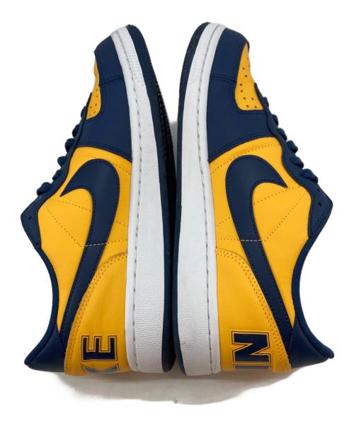 NIKE（ナイキ）NIKE (ナイキ) ターミネーター ロー 