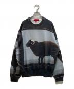 SUPREMEシュプリーム）の古着「ダミアンハースト セーター 