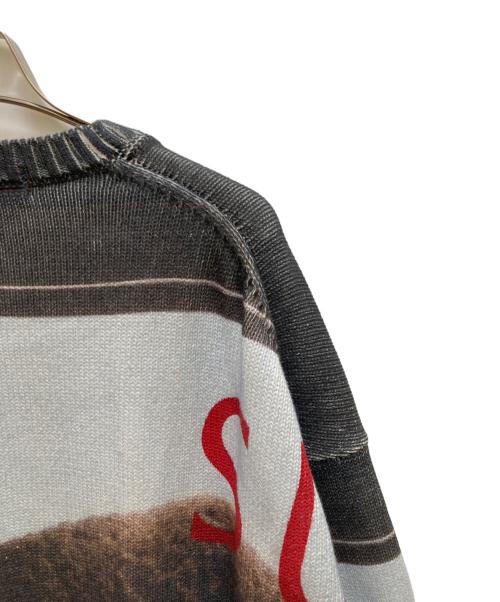 SUPREME（シュプリーム）SUPREME (シュプリーム) ダミアンハースト セーター 