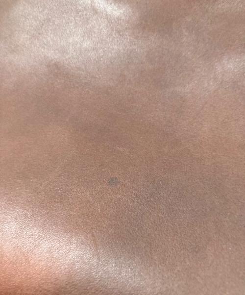 COACH（コーチ）COACH (コーチ) ヴィンテージレザーショルダーバッグ ブラウンの古着・服飾アイテム